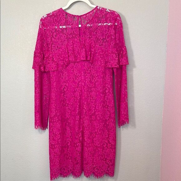 Trina Turk Vintage Lace Sheath Dress-Small. B81 - Picture 4 of 6